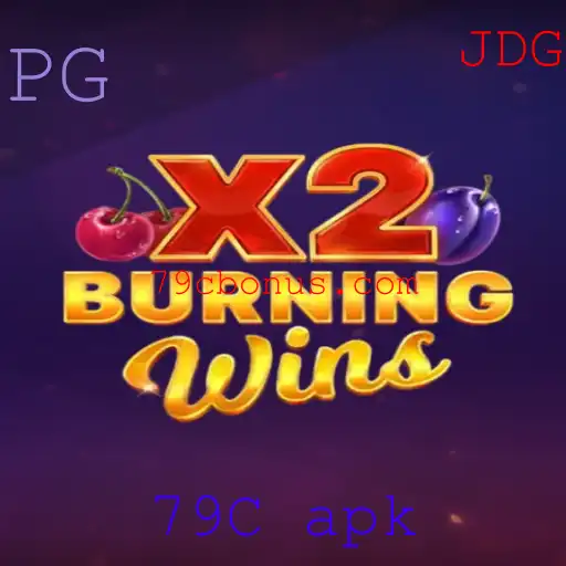 Explorando o Universo de BurningWinsX2: Um Mergulho no Jogo e Suas Regras